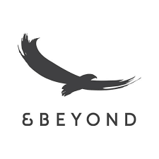 & Beyond