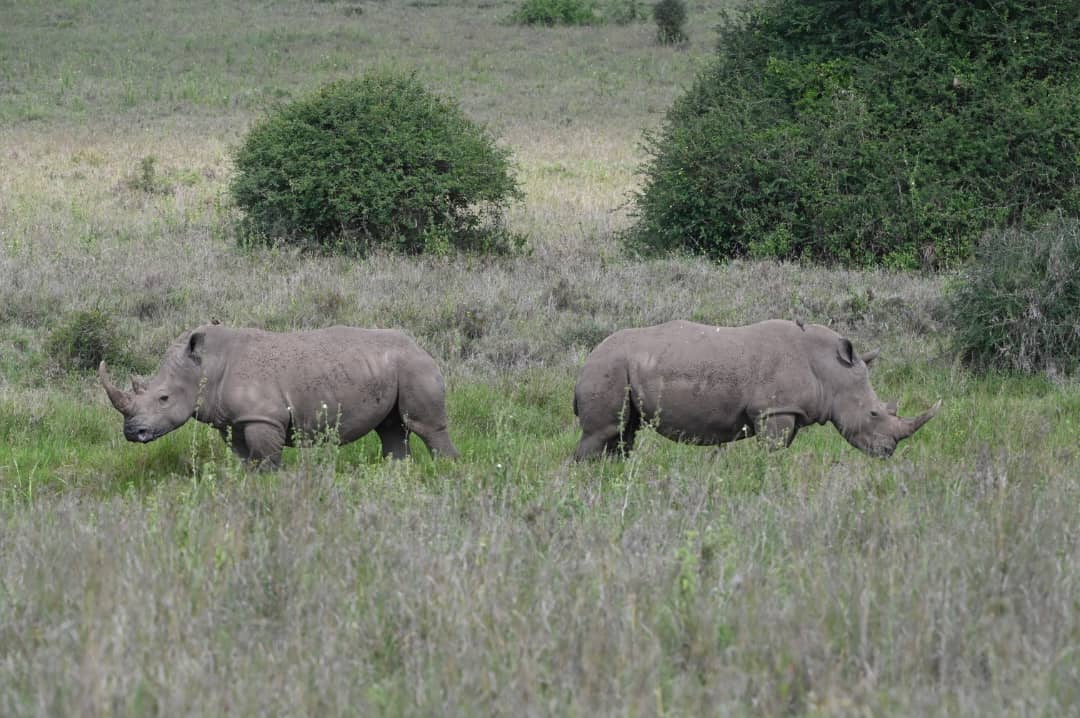 WhatsApp Image 2025-11-10 at 10.37.26 PM