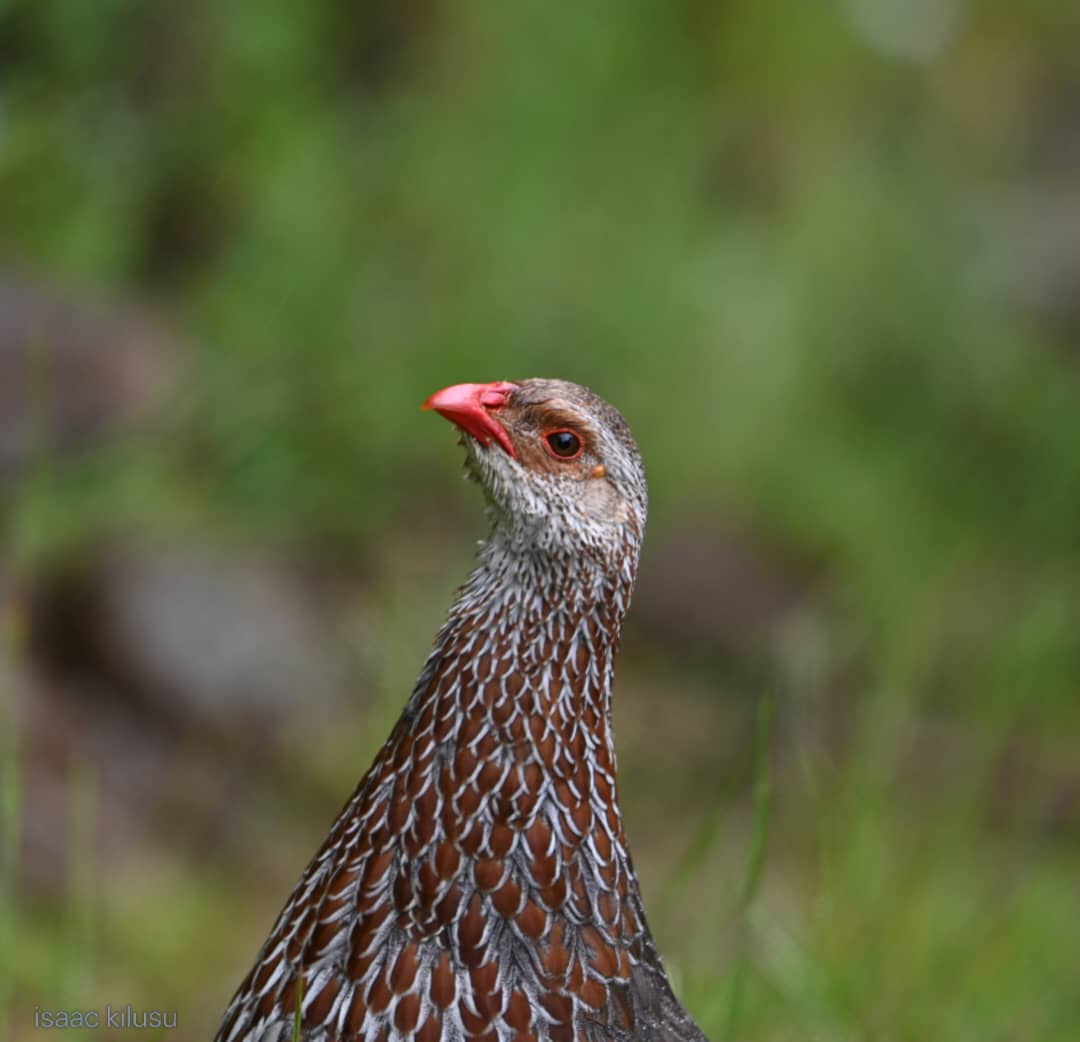 WhatsApp Image 2025-11-10 at 10.37.26 PM(1)