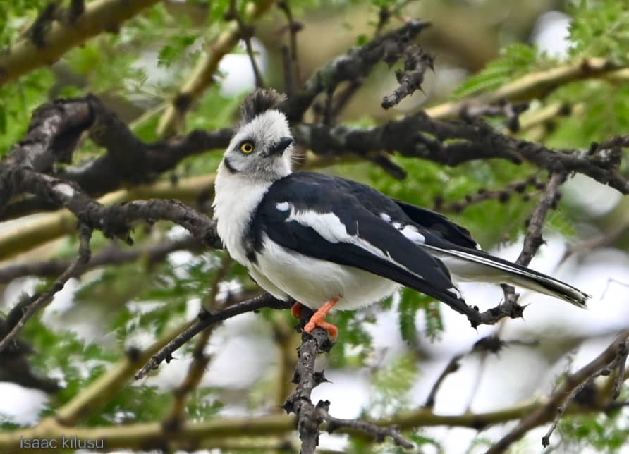 WhatsApp Image 2025-11-10 at 10.37.27 PM