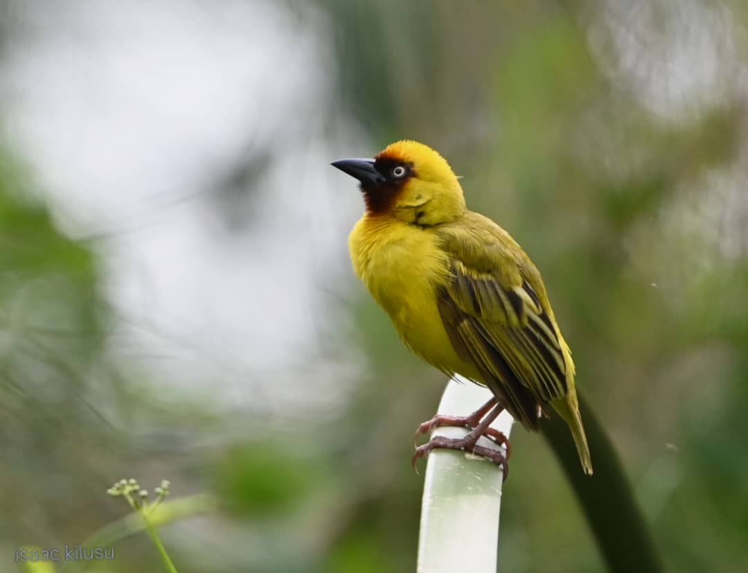 WhatsApp Image 2025-11-10 at 10.37.27 PM(1)