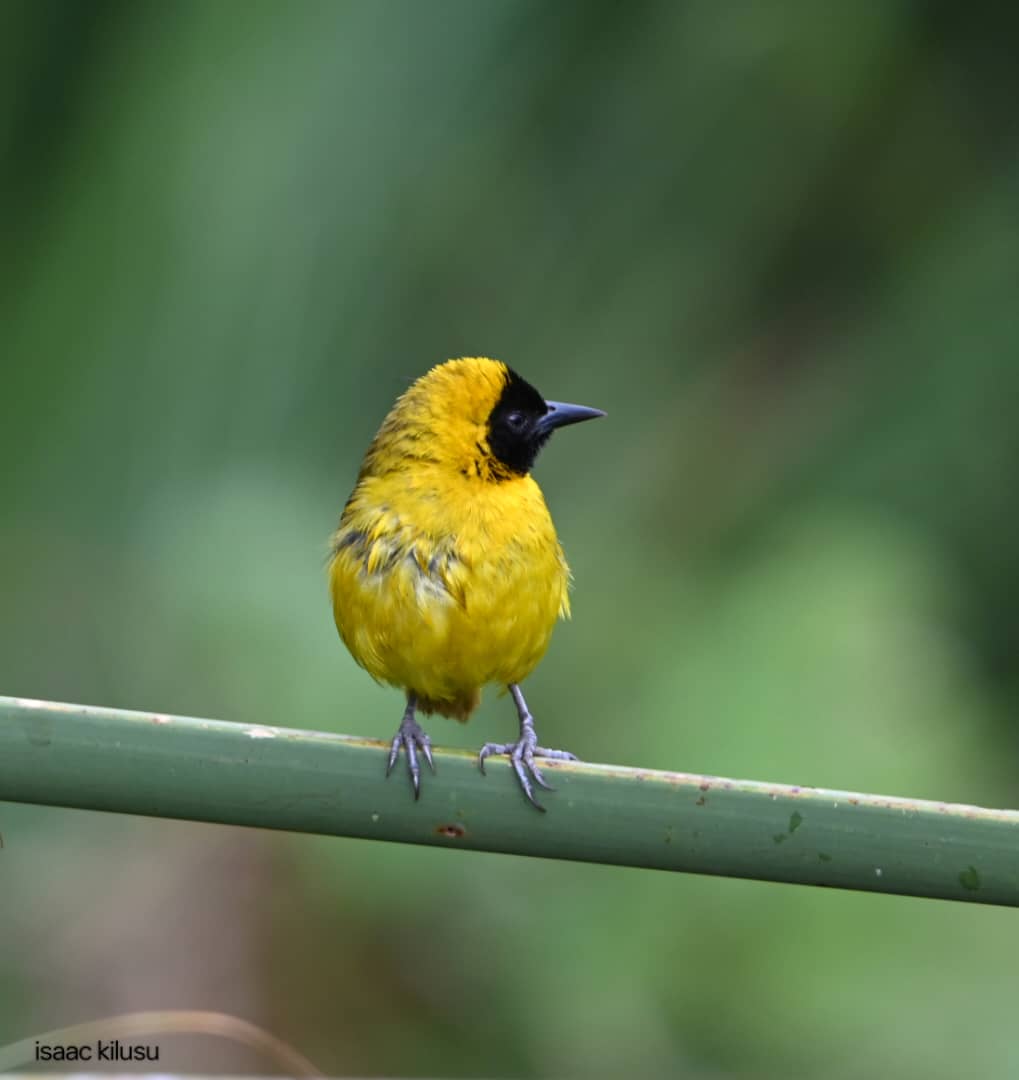 WhatsApp Image 2025-11-10 at 10.37.28 PM