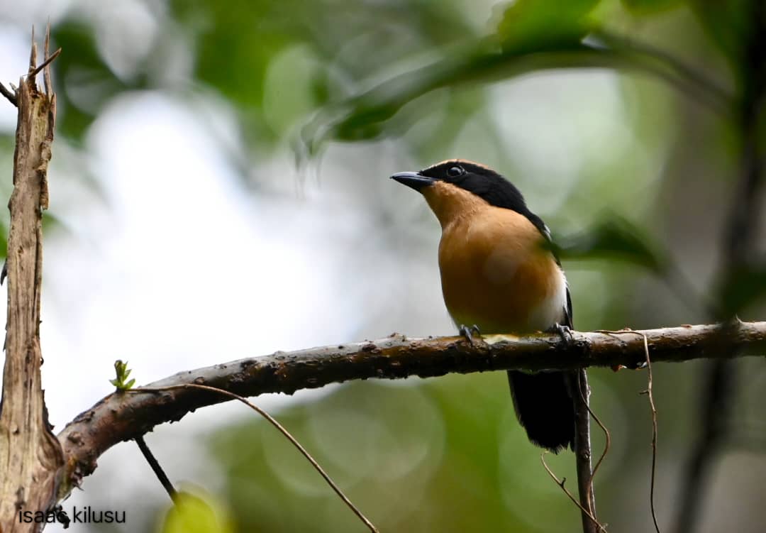 WhatsApp Image 2025-11-10 at 10.37.28 PM(1)