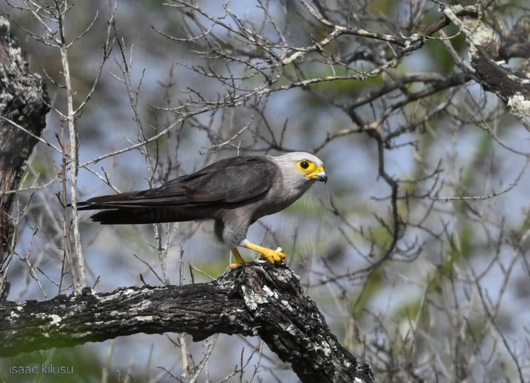 WhatsApp Image 2026-01-05 at 12.33.54 PM