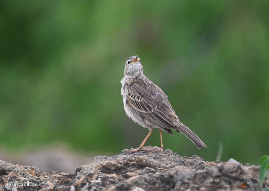 WhatsApp Image 2026-01-05 at 12.33.58 PM (1)