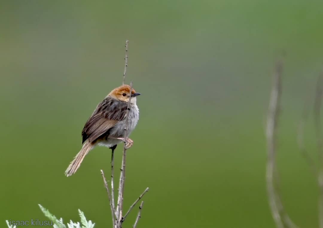 WhatsApp Image 2026-01-05 at 12.33.58 PM